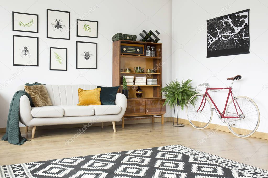 Vintage living room with bicycle