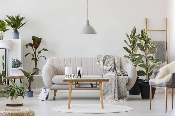 Interiér útulný obývací pokoj — Stock fotografie