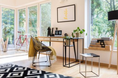 Evde ofis iç bitkiler