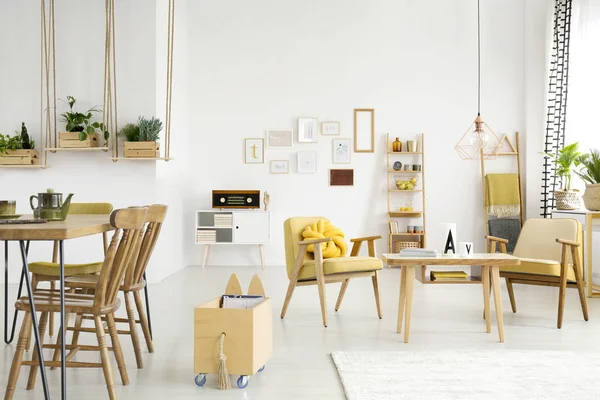 Bright living room with plants