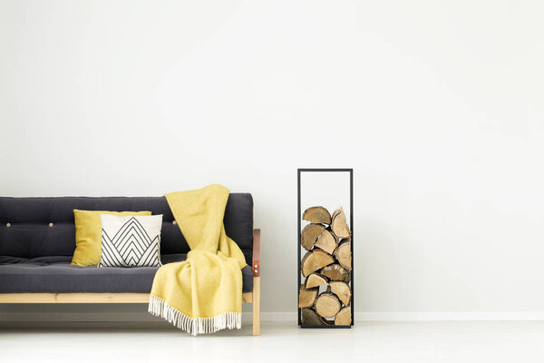 Теплая комната с деревом
