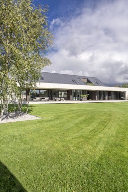 Ağaç ile geniş ev