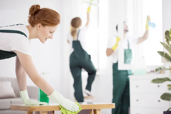 Professioneller Reinigungstisch — Stockfoto