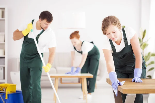 Frau wischt Möbel weg — Stockfoto