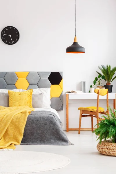 Renkli yatak odası iç bitkilerde — Stok fotoğraf