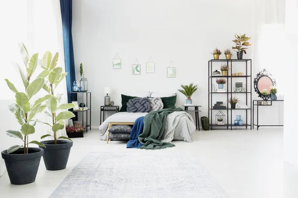 Ficus in spacious bedroom interior — Stock Photo, Image