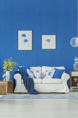 Mavi oturma odasında posterler