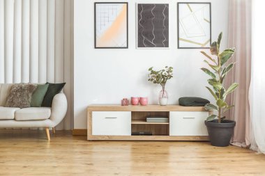 Ficus bitki ile zarif iç