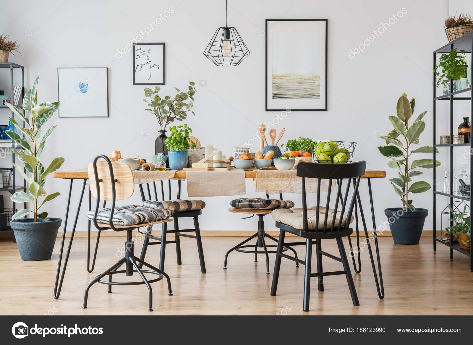 Ficus in gezellige eetkamer — Stockfoto © photographee.eu #186123990 Ficus in gezellige eetkamer — Stockfoto © photographee.eu #186123990