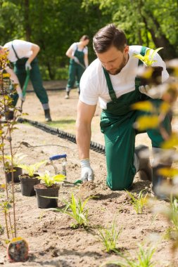 Intense garden works making park keepers busy clipart