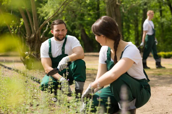 Cooperação suave entre jardineiros apaixonados — Fotografia de Stock