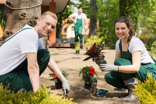 Professional gardening team starting their busy day — Stock Photo, Image