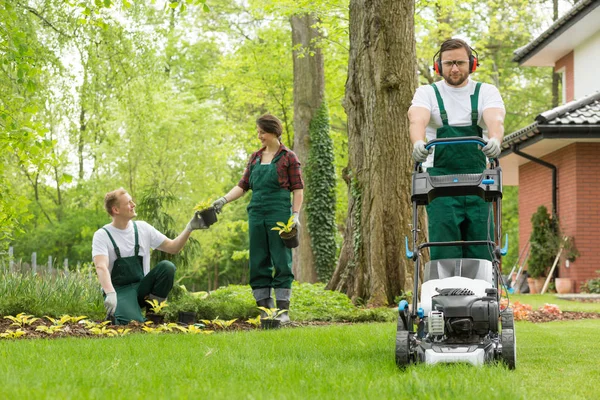 Zamieniając na podwórku, w zadbanym ogrodzie — Zdjęcie stockowe