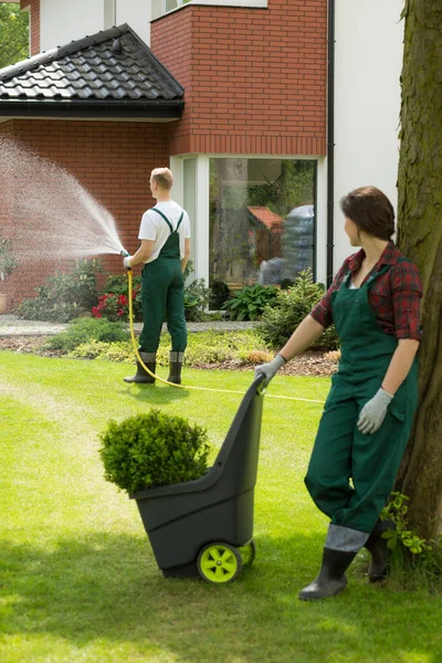 Travaux de jardin d'été dans la cour arrière — Photo