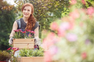 Pembe çiçekli kasaları