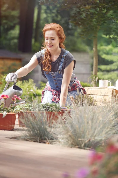 Prosseguindo uma carreira de jardinagem — Fotografia de Stock