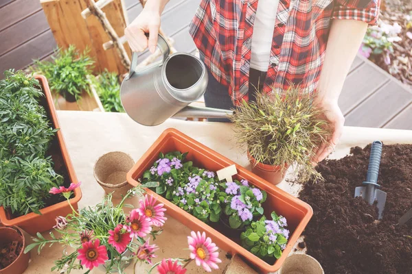 Terrassentisch mit Erde — Stockfoto