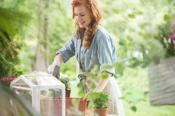 Glad tjej plantera blommor — Stockfoto