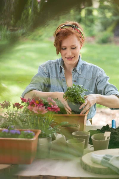 Menina replantando flores — Fotografia de Stock