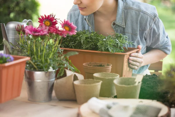 Mulher preparando flores para plantio — Fotografia de Stock