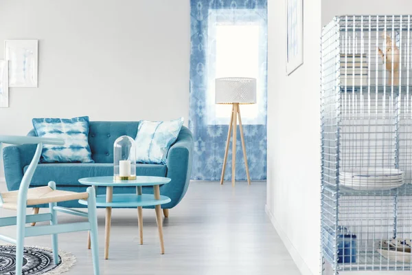 Голубая гостиная с диваном — стоковое фото