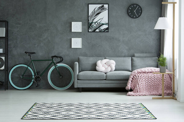 Grey living room with bicycle