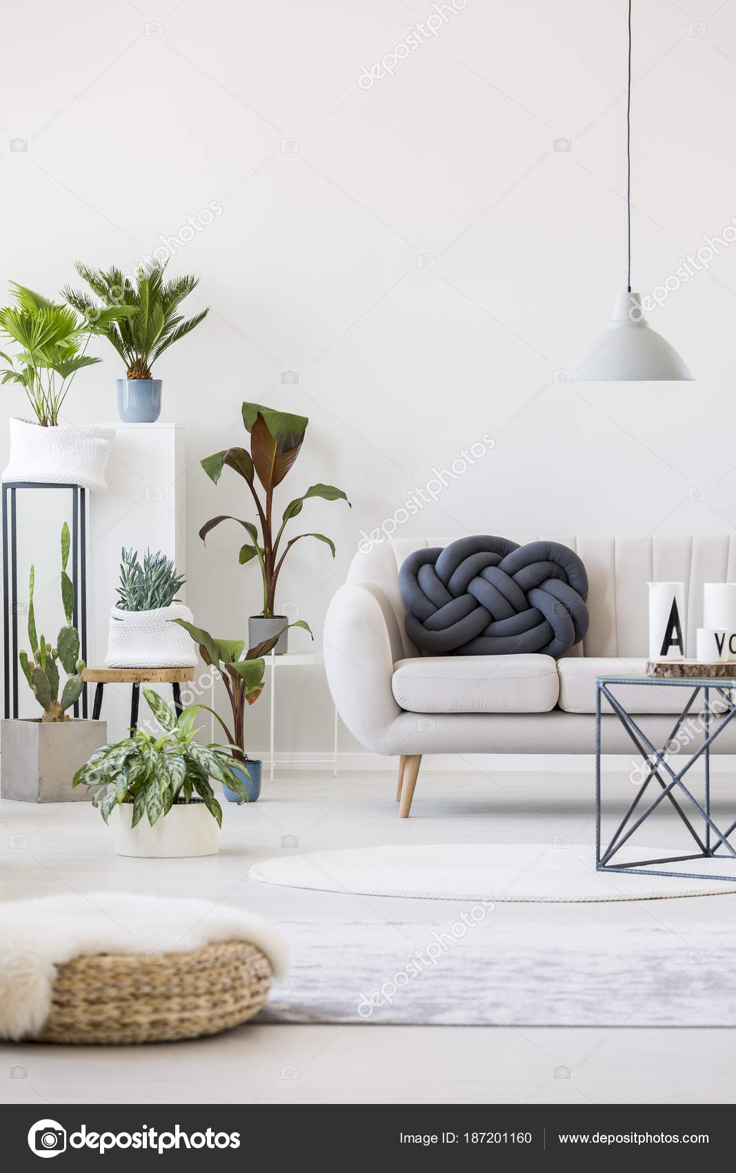 Planten in de woonkamer — Stockfoto © photographee.eu #187201160 Planten in de woonkamer — Stockfoto © photographee.eu #187201160