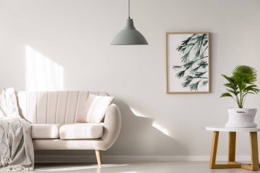 Minimalist oturma odasında palmiye