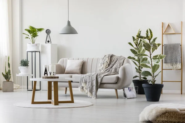 Sala de estar com sofá elegante — Fotografia de Stock
