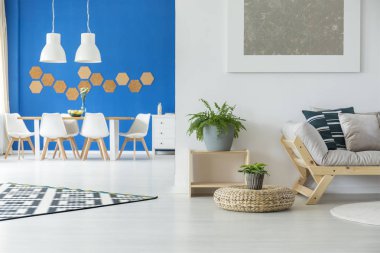 Modern minimalist daire