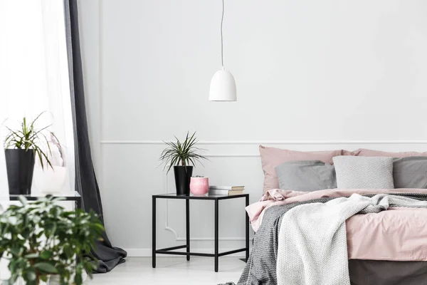 Plant in cozy bedroom interior — Stock Photo, Image
