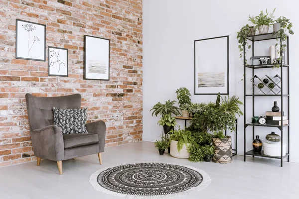 Interior ruang tamu dengan tanaman — Stok Foto