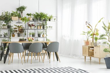Yemek salonunda parlak pencere