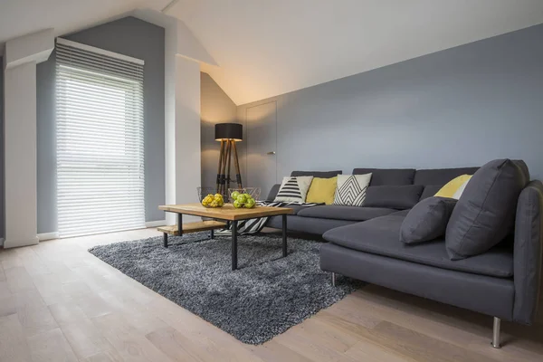 Ruime heldere woonkamer interieur — Stockfoto