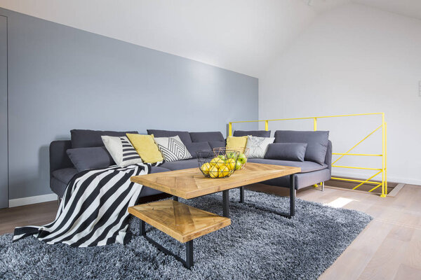 Spacious living room interior