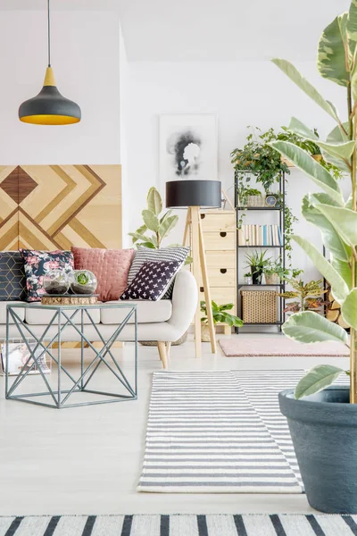 Ficus in living room interior — Stock Photo, Image