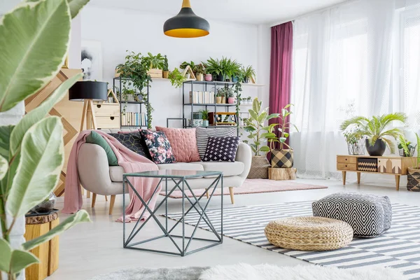 Geräumiges Wohnzimmer mit Pflanzen — Stockfoto