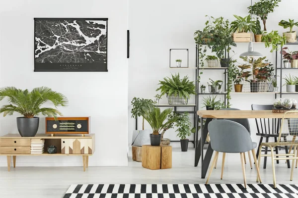 Botanic eetkamer interieur — Stockfoto