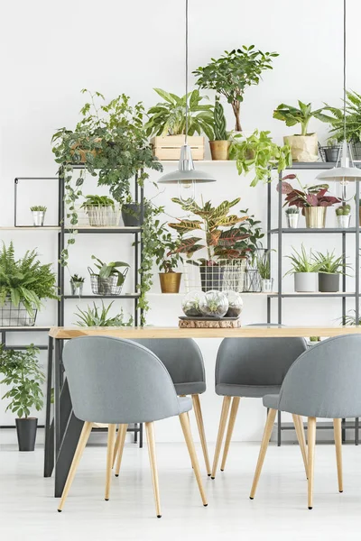 Natuurlijke grijze eetkamer interieur — Stockfoto