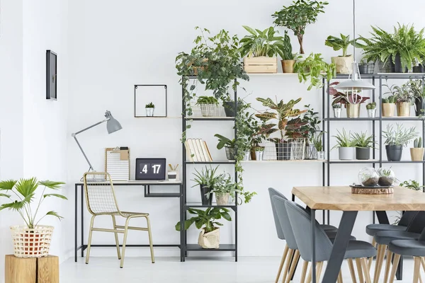 Interior de escritório em casa floral — Fotografia de Stock