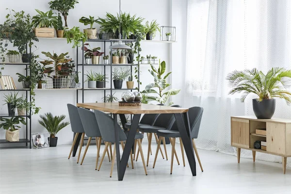 Palme im floralen Esszimmer — Stockfoto