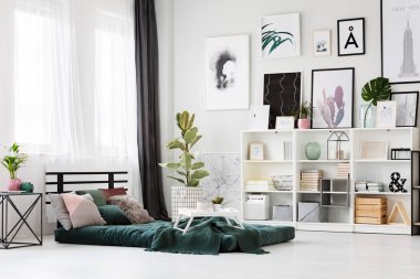 Ficus parlak yatak odası iç