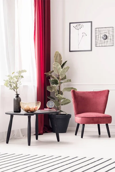 Coffee table, plant and armchair — Stock Photo, Image