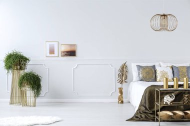 Bitkiler, Fotoğraflar ve yatak