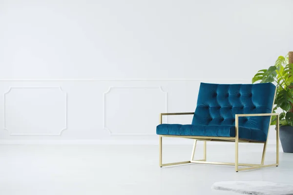 Chaise bleue avec cadre doré — Photo