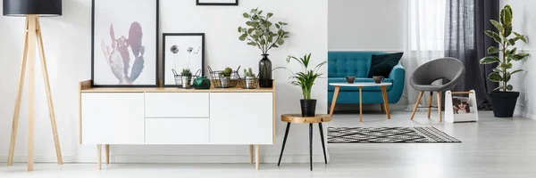 Cupboard with plants — Stock Photo, Image