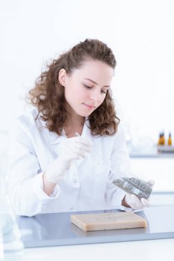 İzole beyaz zemin üzerine araştırmacı