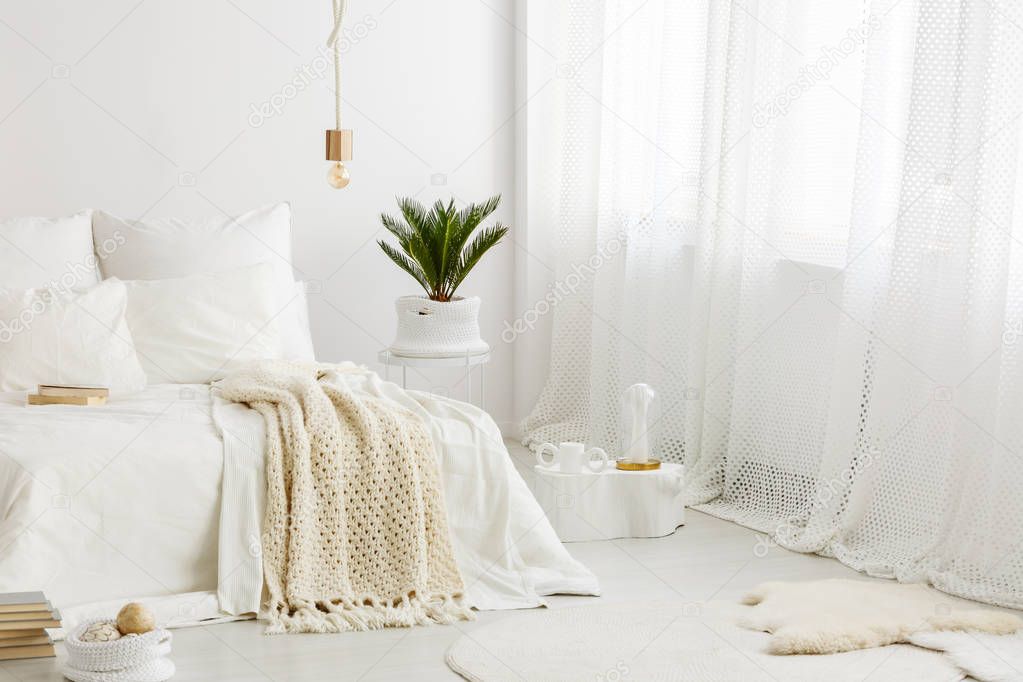 Bright, cozy bedroom interior with white bedding on the bed, palm plant and big window