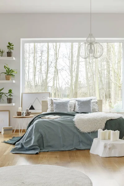 在明亮的卧室内部与植物和窗口绿色床上用品附近的灯床 — 图库照片