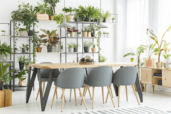 Cadeiras Cinzentas Mesa Madeira Sala Jantar Natural Interior Com Plantas — Fotografia de Stock